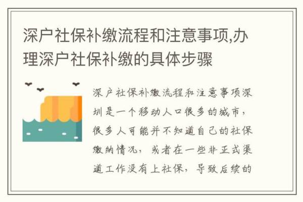 详解如何补交社保的步骤与注意事项